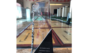 2017最佳网络人气楼盘