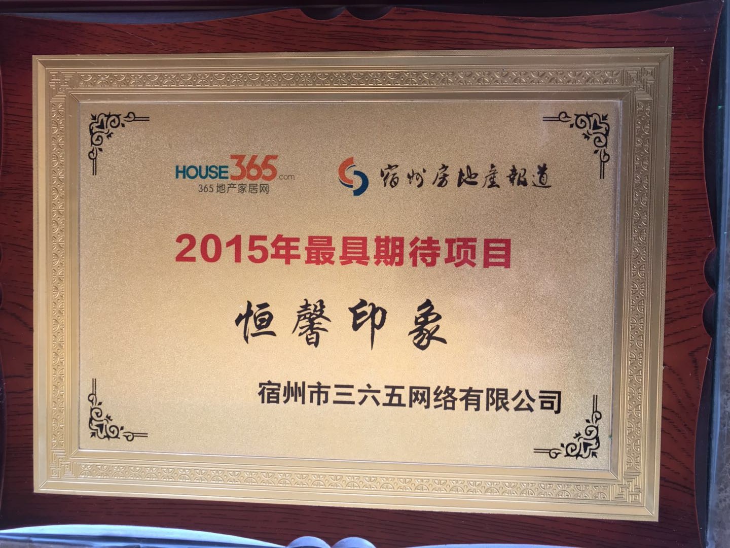  2015年最具期待项目