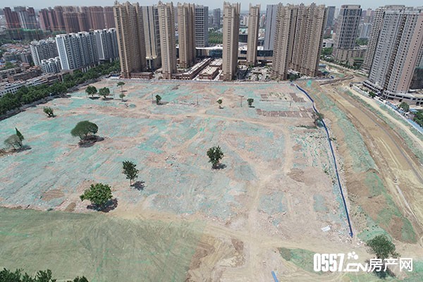 微信图片_20190814115501.jpg 微信图片_20190814115501.jpg