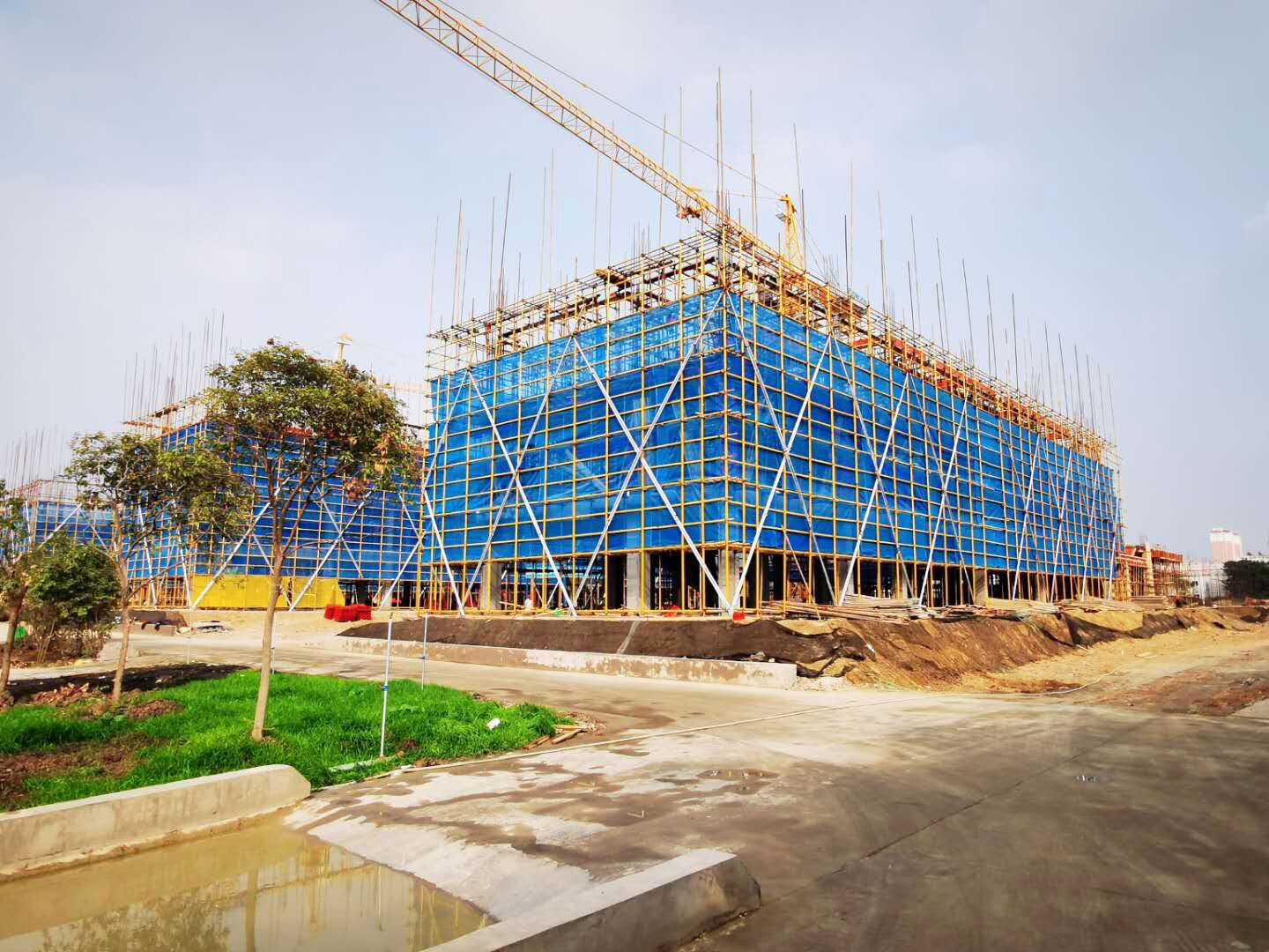 QQ图片20201030162754.jpg QQ图片20201030162754.jpg