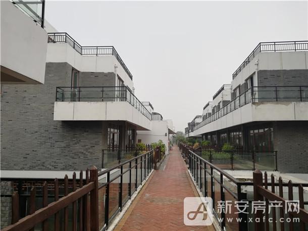 荣誉3.jpg 荣誉3.jpg