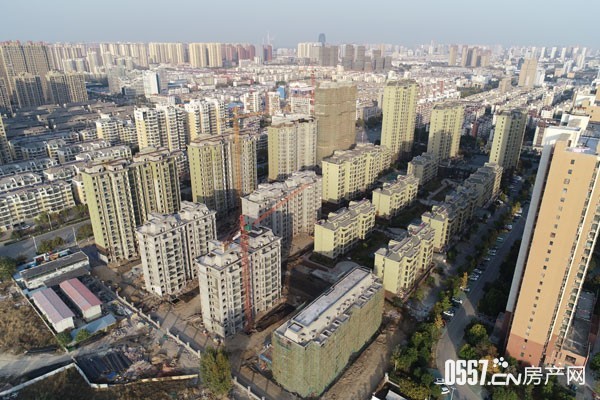 恒馨1.jpg 恒馨1.jpg