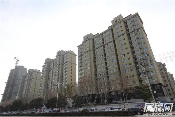 恒馨11.jpg 恒馨11.jpg