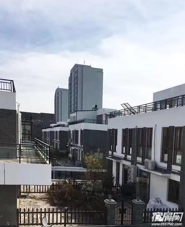 恒馨13.jpg 恒馨13.jpg