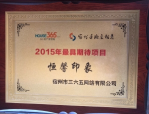  2015年最具期待项目